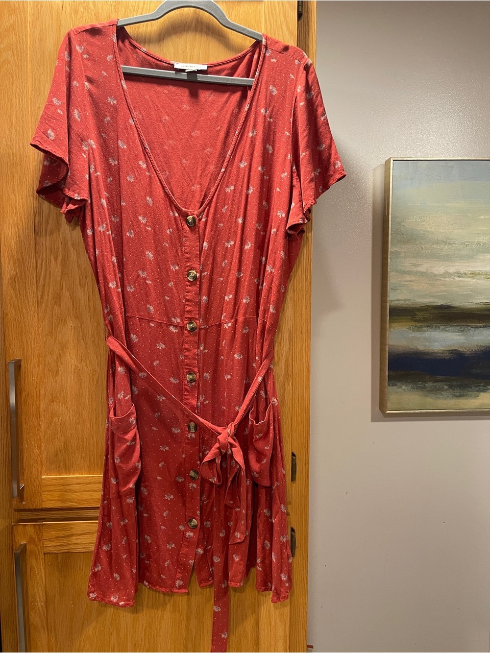 American Eagle Outfitters Red Floral Button-Front Mini Dress